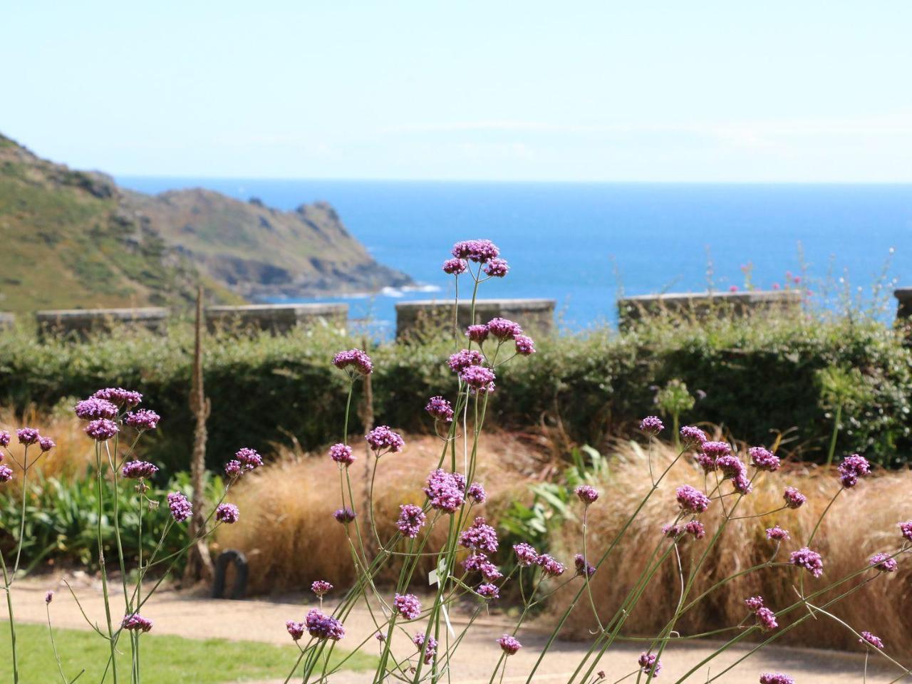 Gara Rock - Garden Apartment 7, Salcombe Exteriér fotografie